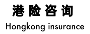 insurance111.com